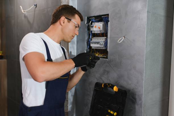 Best Electric Panel Repair  in Hernando, FL